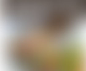 Quest 1-8 Aug 29, 2023 