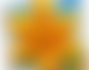 Crop: Cosmos Sulfur + LE Items *Oct 21, 2024