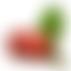 Crop: African Icacina *June 22, 2026