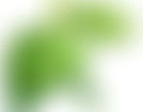 Crop: The Shining Bush Plant! *Aug 10, 2026