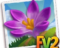 Crop: Snow Crocus + LE Items Dec. 2,2024 