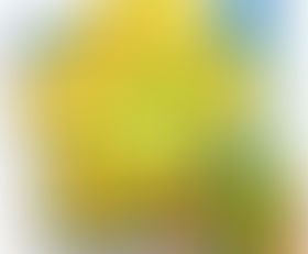 Crop: Jasmine Tokin + LE Items  Dec 26,2022