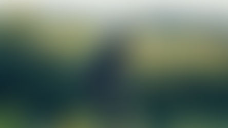 Medlemsfokus: Ästad Vingård och Restaurang ÄNG får Michelinstjärnor