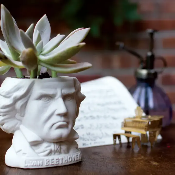 Ludwig Van Beethoven Planter