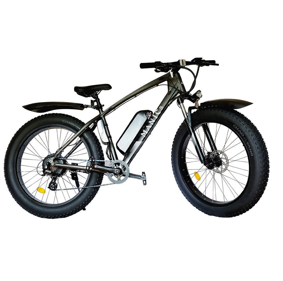 E-BIKE FAT 500W 48V (MOTO) Frenos Hidraulico