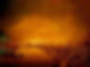 Great Fire of London 1666.jpeg