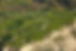 torrey.jpg