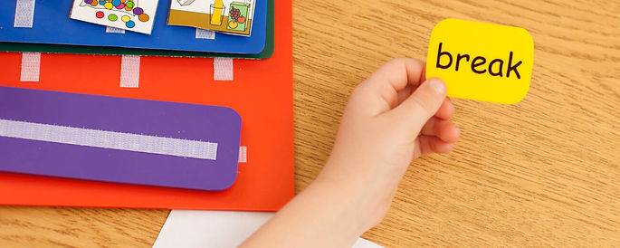 pyramid autism functional communication training