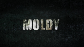 Must See -MOLDY a Documentary 
