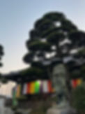 IMG_0967.jpeg