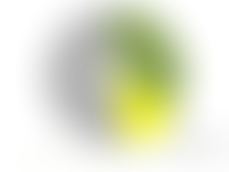 読了: The Emerald City of Oz (OzPj)