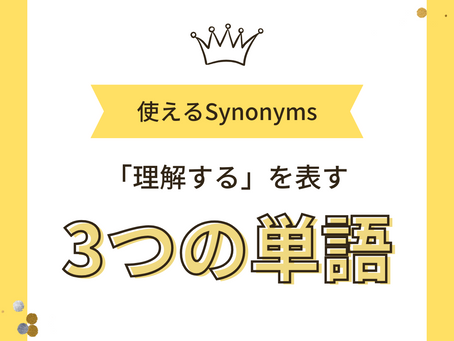 使えるSynonyms: 理解する