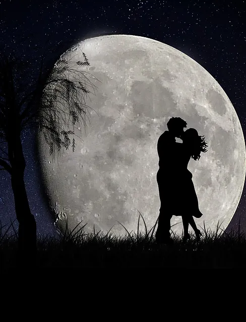 moon-g58c17b93e_1920.webp