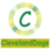 LogoColorTextBelow.jpeg