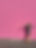 pink flipped.jpg