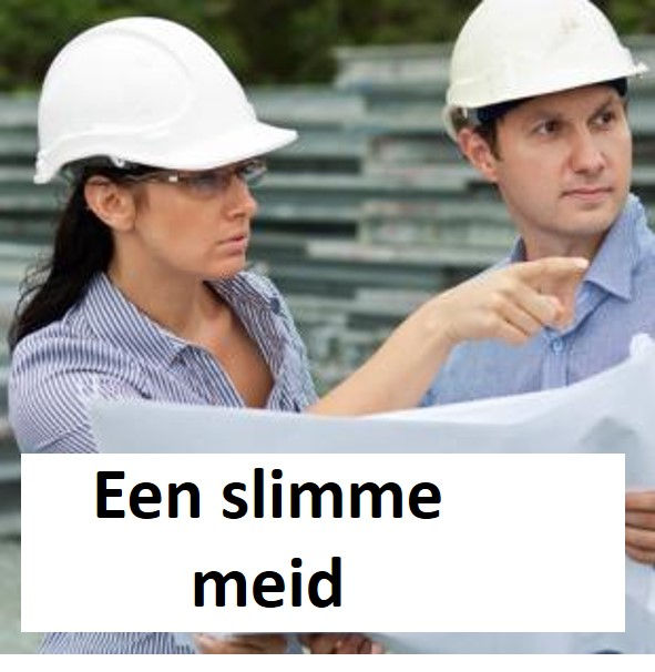 Een slimme meid