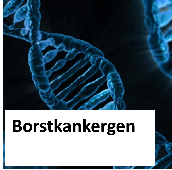 Borstkankergen