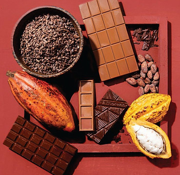 Prizewinning PHL chocolate, cacao brands take center stage in the Netherlands exhibit.jfif