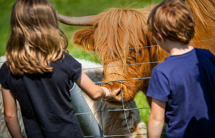 Halloween Farm Experience at Bellevue Farm, Blackwaterfoot, Isle of Arran