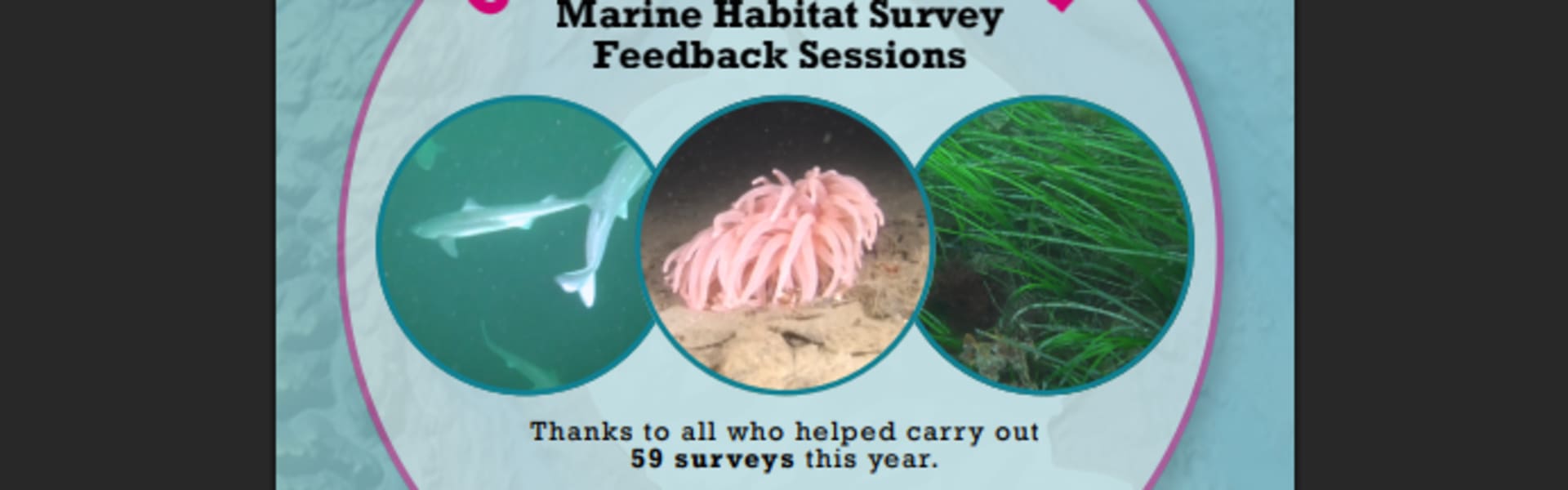 CATS Marine Survey Feedback Session – Pirnmill — by COAST — 15 Oct 26 — Pirnmill Village Hall