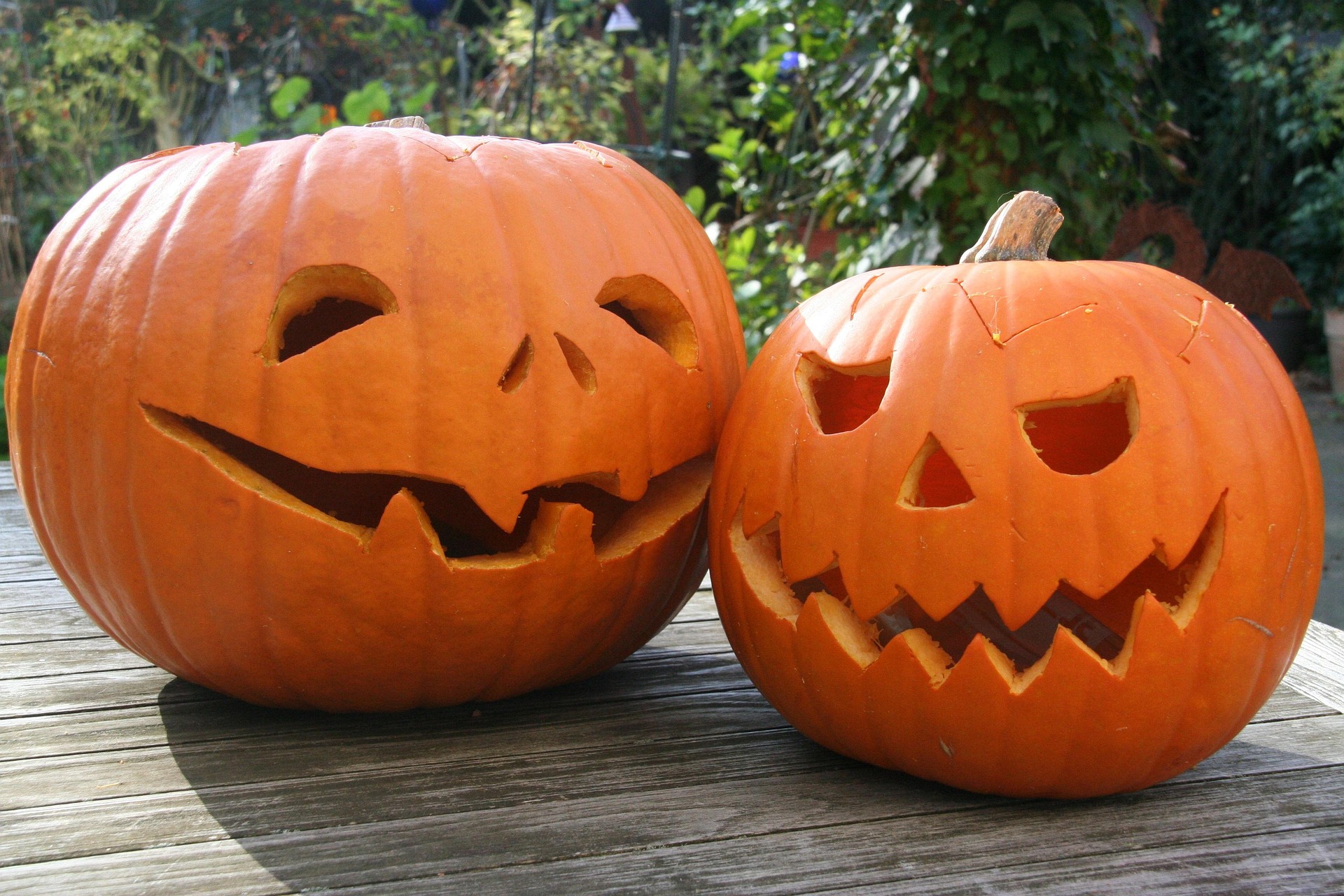 Pumpkin Crafters Competition — by Lamlash Bay Hotel — 25 Oct 26 — Lamlash Bay Hotel