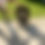 Thumbnail: Husqvarna Automower 420iQ