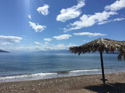 12980811_10208990839545449_607954042_o