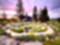 46C1BE54-D271-42CD-B866-4D2411B1710F_4_5005_c_edited
