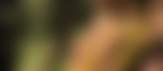 Embrace Uniqueness: There’s No One-Size-Fits-All in Healing