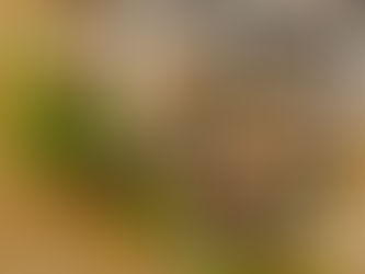 FOOD, FLAVOUR & EVERYDAY CONVENIENCE