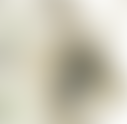 Falmouth’s Inspector of Weights  and Measures