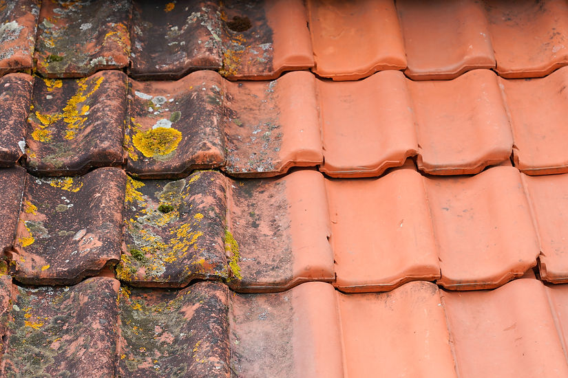AdobeStock_317812809.jpeg