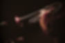 Trumpet Player