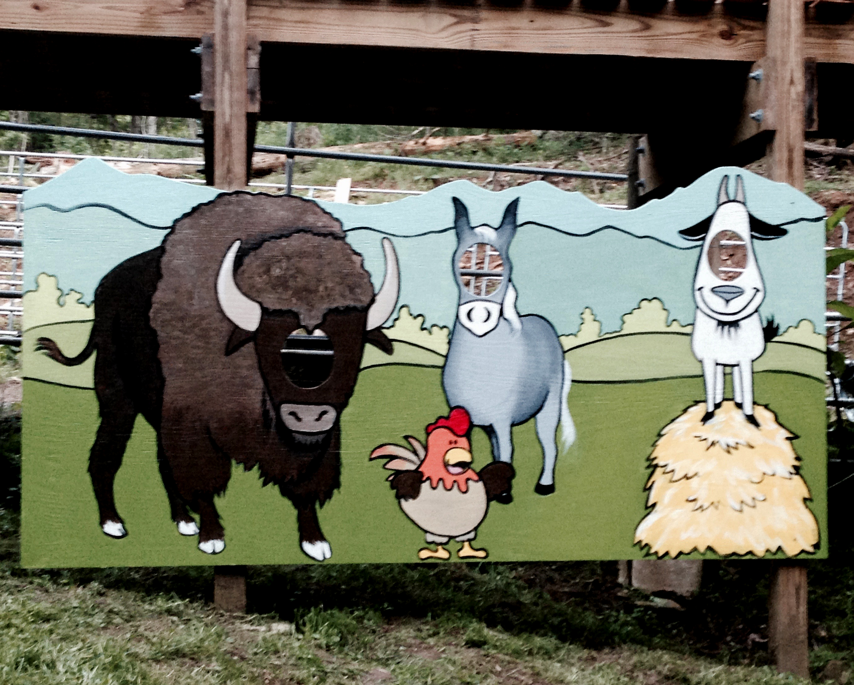 BUFFALO CREEK VACATIONS