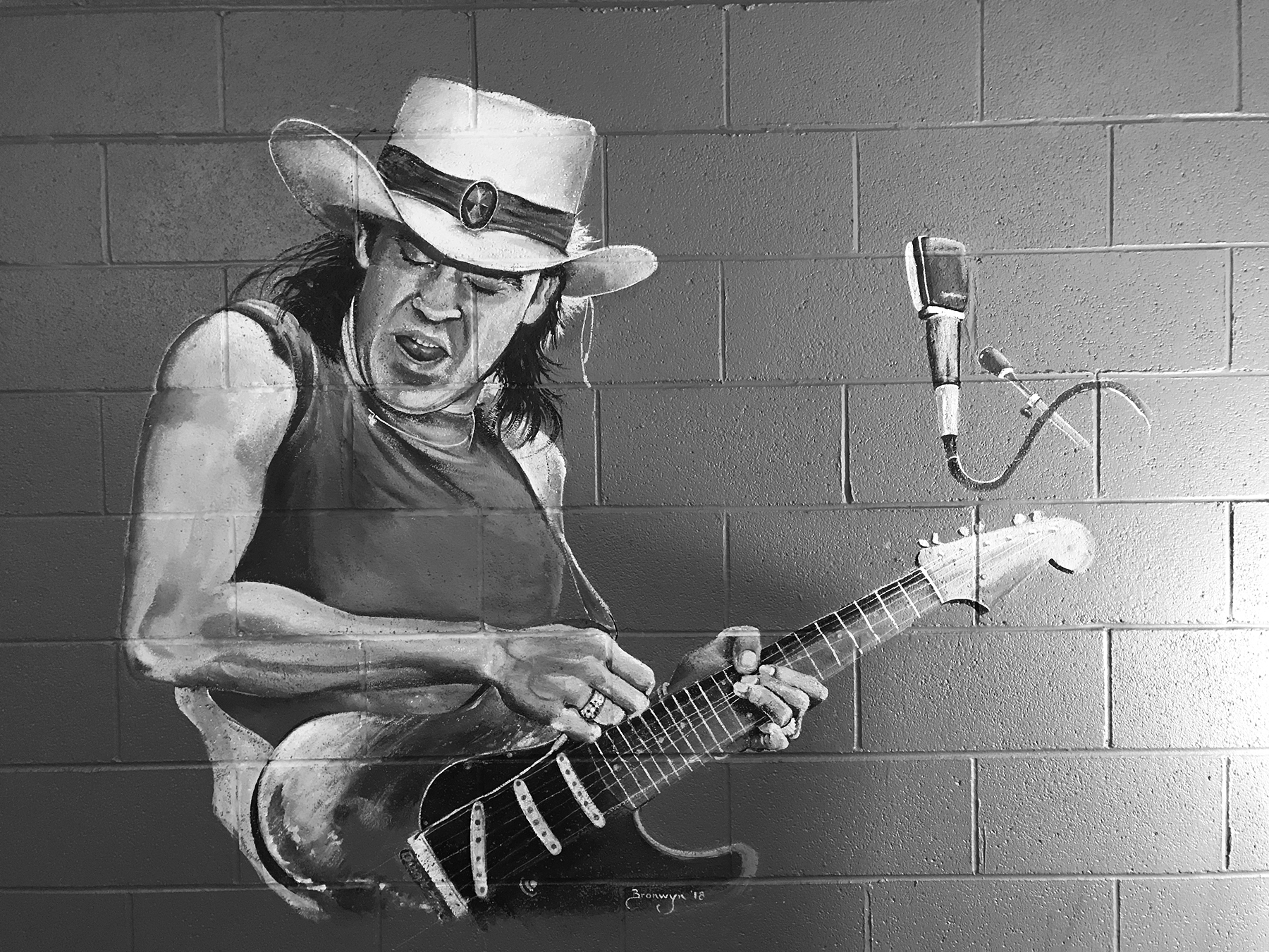 STEVIE RAY VAUGHN