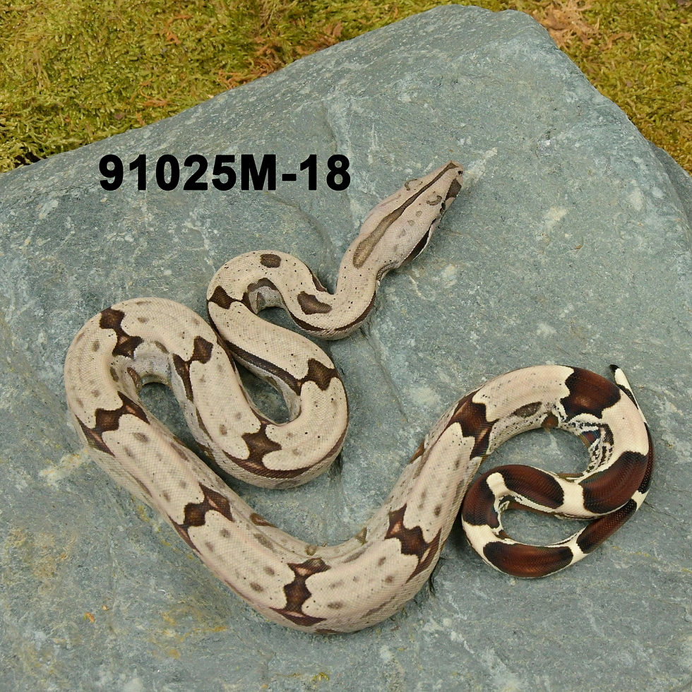 91025M-18