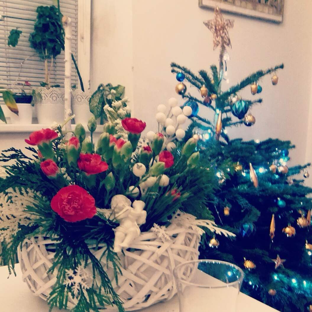 živé květy ADVENTNÍ košík