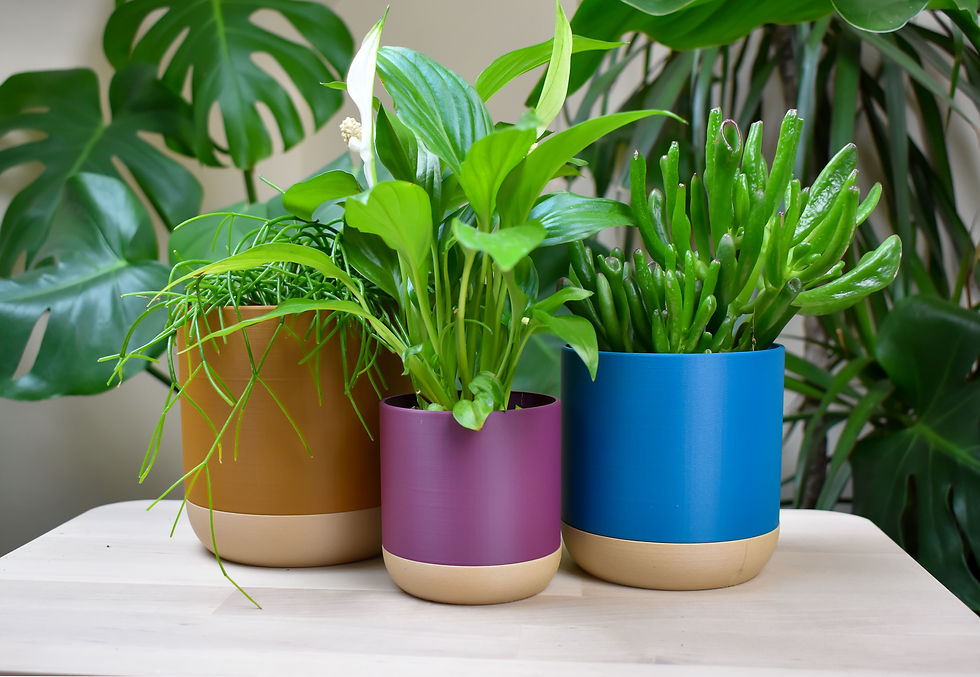 Thumbnail: The Coloured Classic Planter