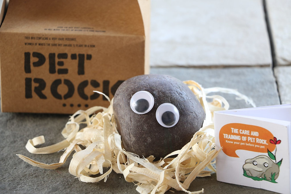 National Pet Rock Day is September 3, 2023!