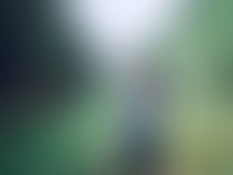 Nature Photography Day is June 15, 2024!