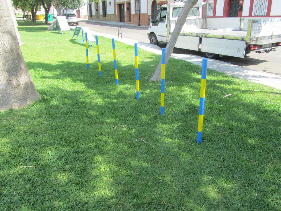 Miniatura: SLALOM AGILITY NO REGLAMENTARIO - Ref. CPH021S