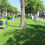 Miniatura: EJEMPLO CIRCUITO AGILITY NO REGLAMENTARIO