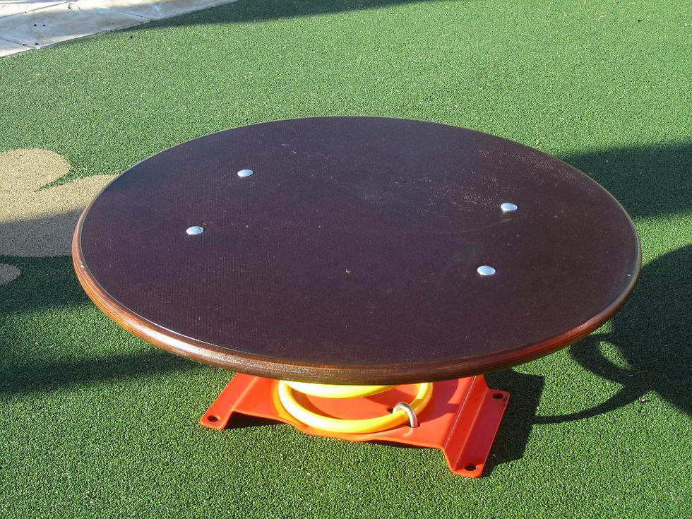 Miniatura: PLATAFORMA DE EQUILIBRIO MUELLE - Ref. 211