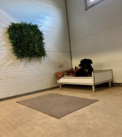 téléchargé (1).jpg