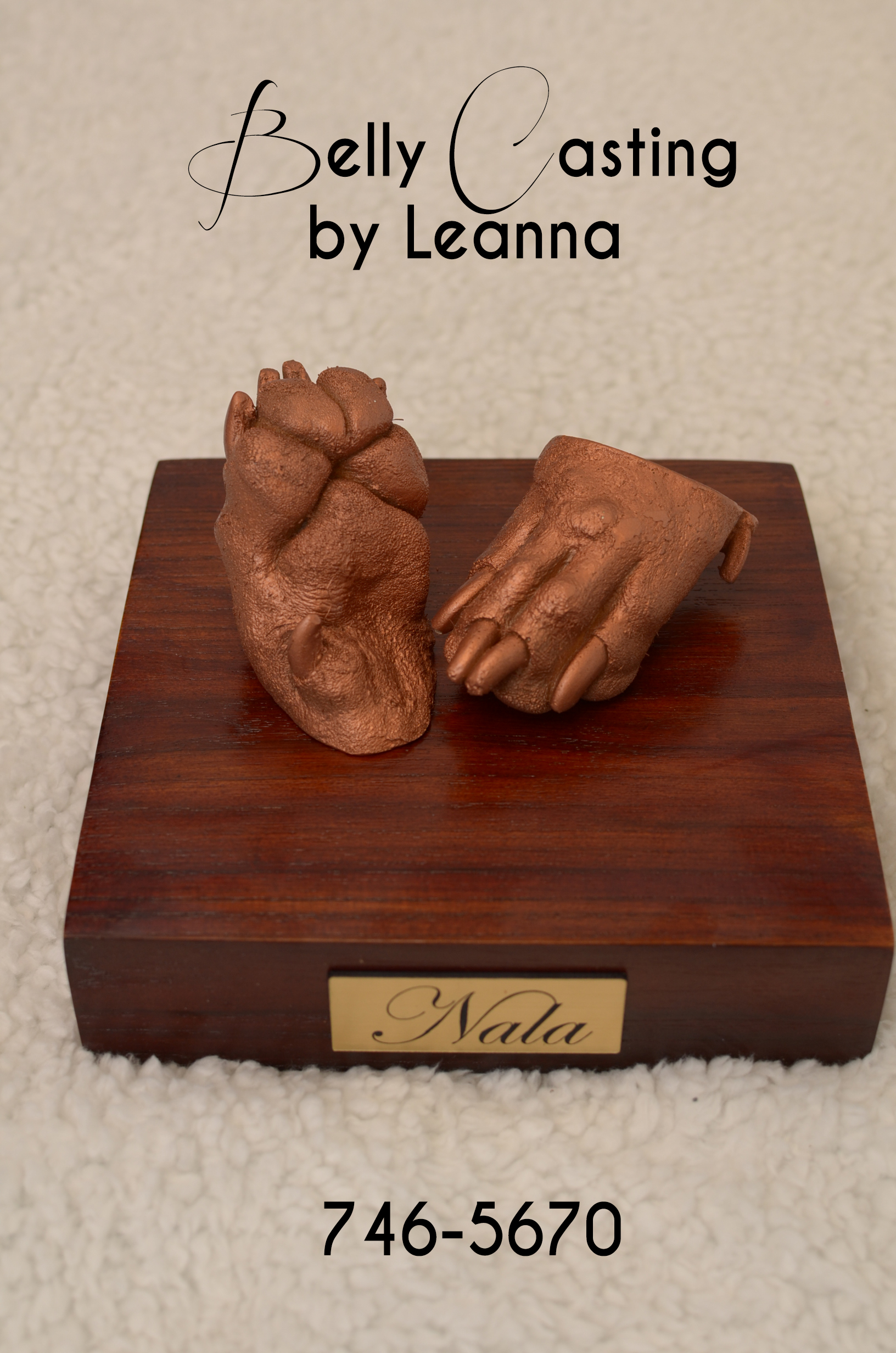 Nala's paw casting