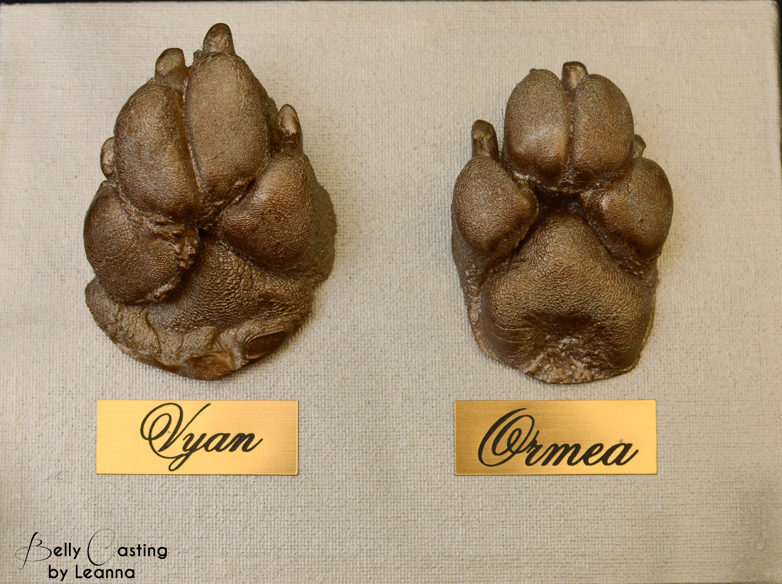 Ormea and Vyan Paw casting