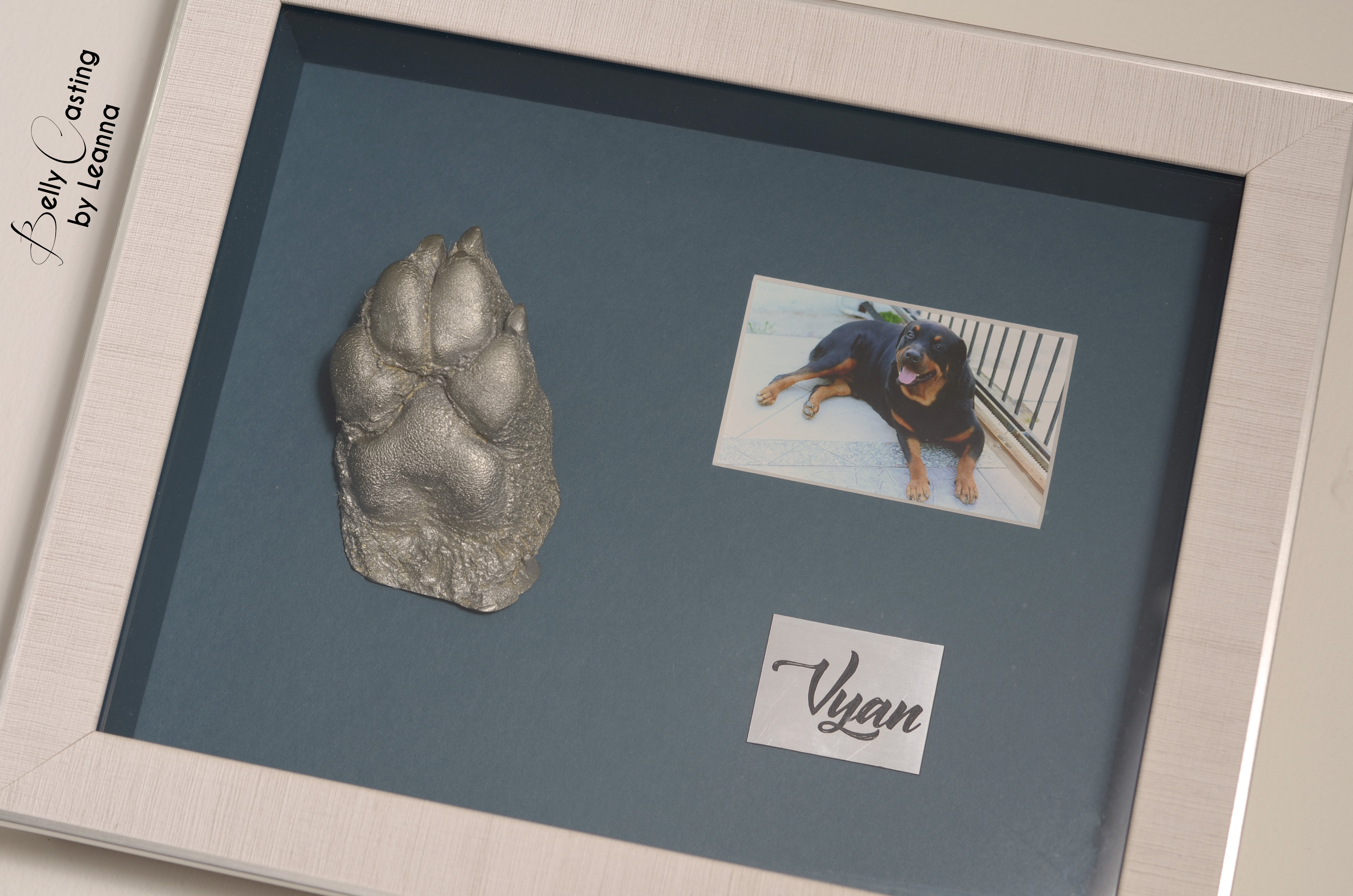 Vyan's paw casting
