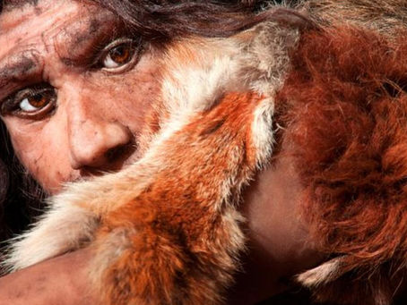 Homo Sapiens: When Did the First Humans Arrive?