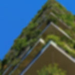 ree