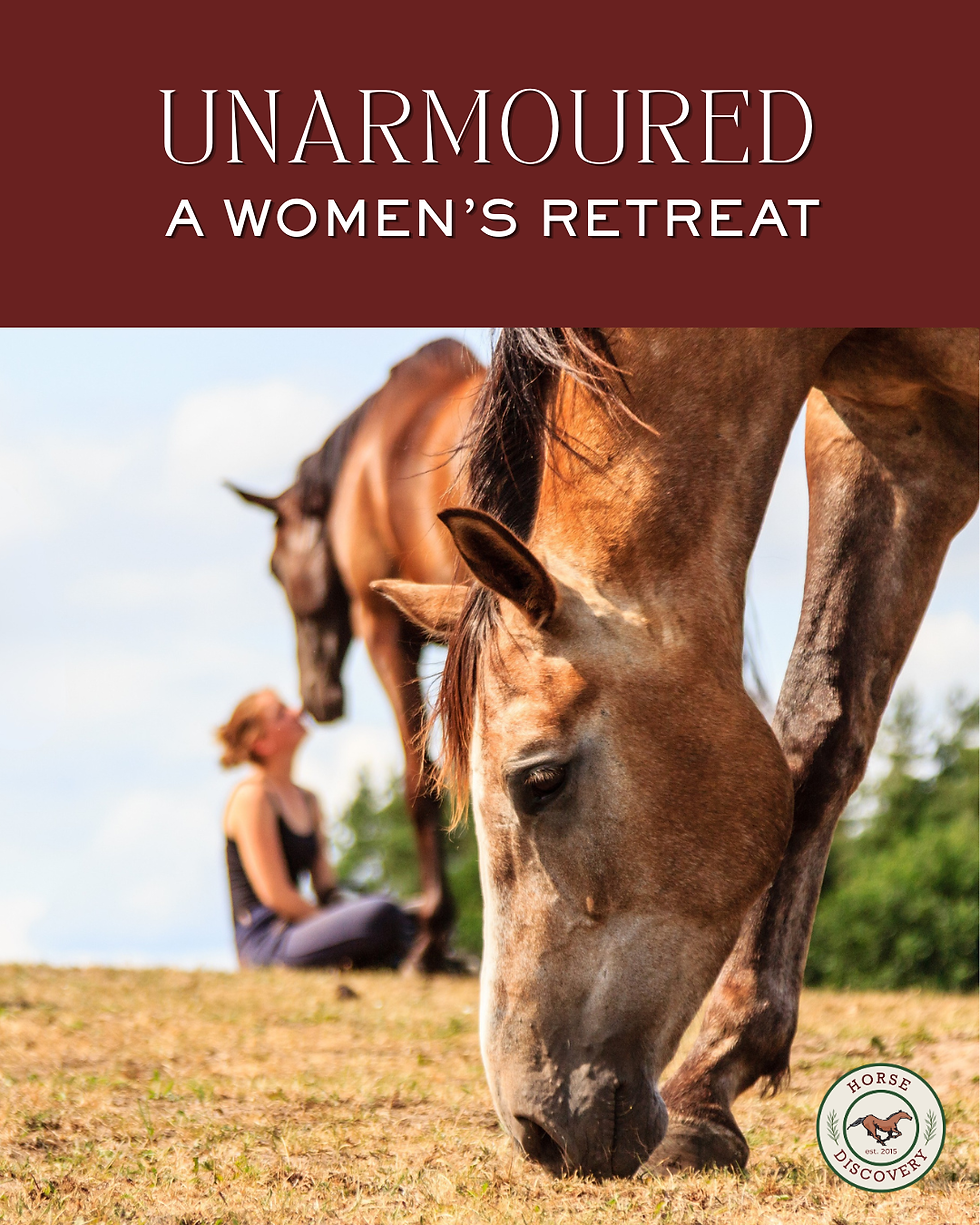 Woman sits on the ground next to horse at Horse Discovery